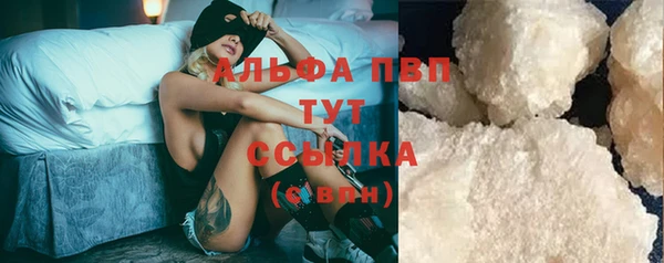 сатива Гусь-Хрустальный