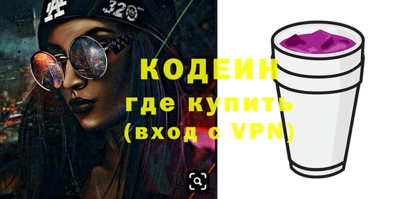 шишки Гусиноозёрск