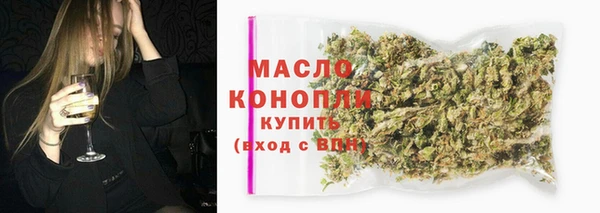 шишки Гусиноозёрск