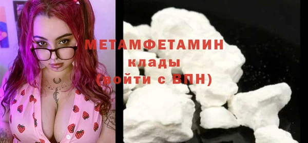 шишки Гусиноозёрск