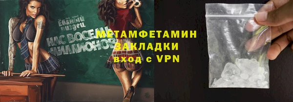 шишки Гусиноозёрск