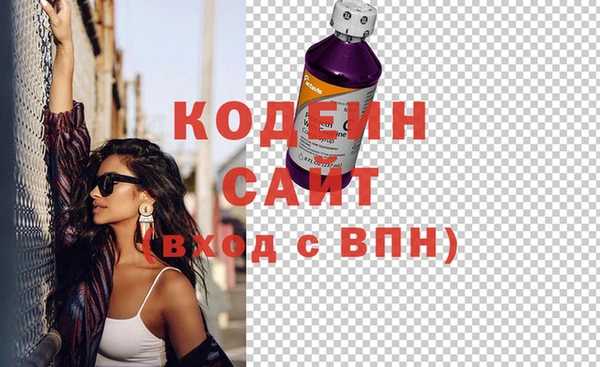 шишки Гусиноозёрск