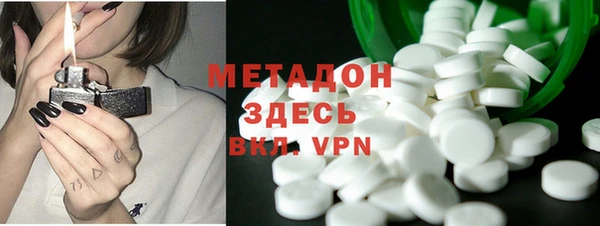 шишки Гусиноозёрск