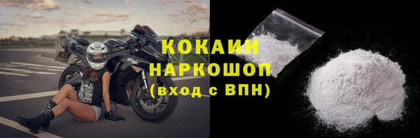 сатива Гусь-Хрустальный