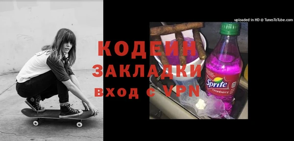 шишки Гусиноозёрск