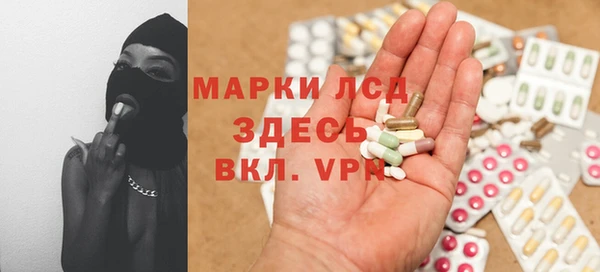 сатива Гусь-Хрустальный
