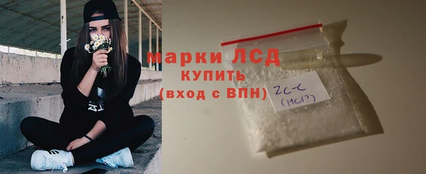 шишки Гусиноозёрск