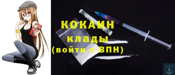 шишки Гусиноозёрск