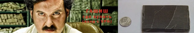 стаф Гусев