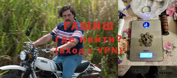 сатива Гусь-Хрустальный
