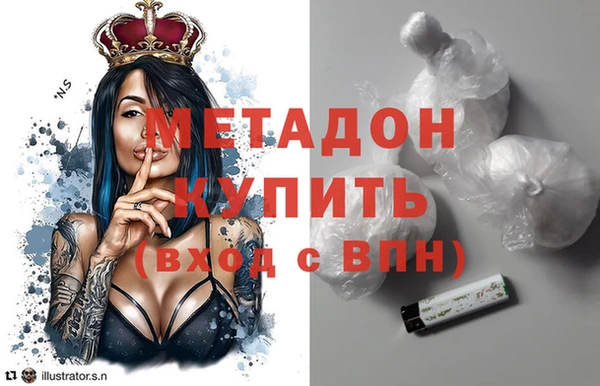 шишки Гусиноозёрск