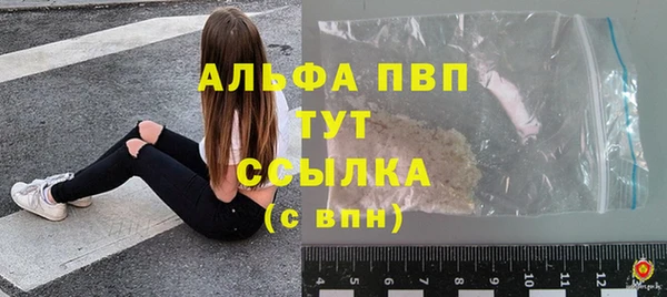стаф Гусев