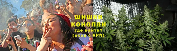 сатива Гусь-Хрустальный