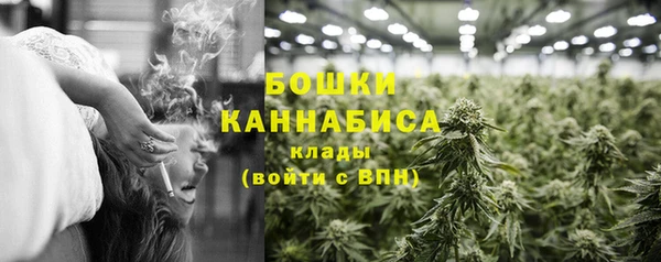 стаф Гусев