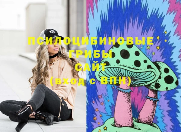 шишки Гусиноозёрск